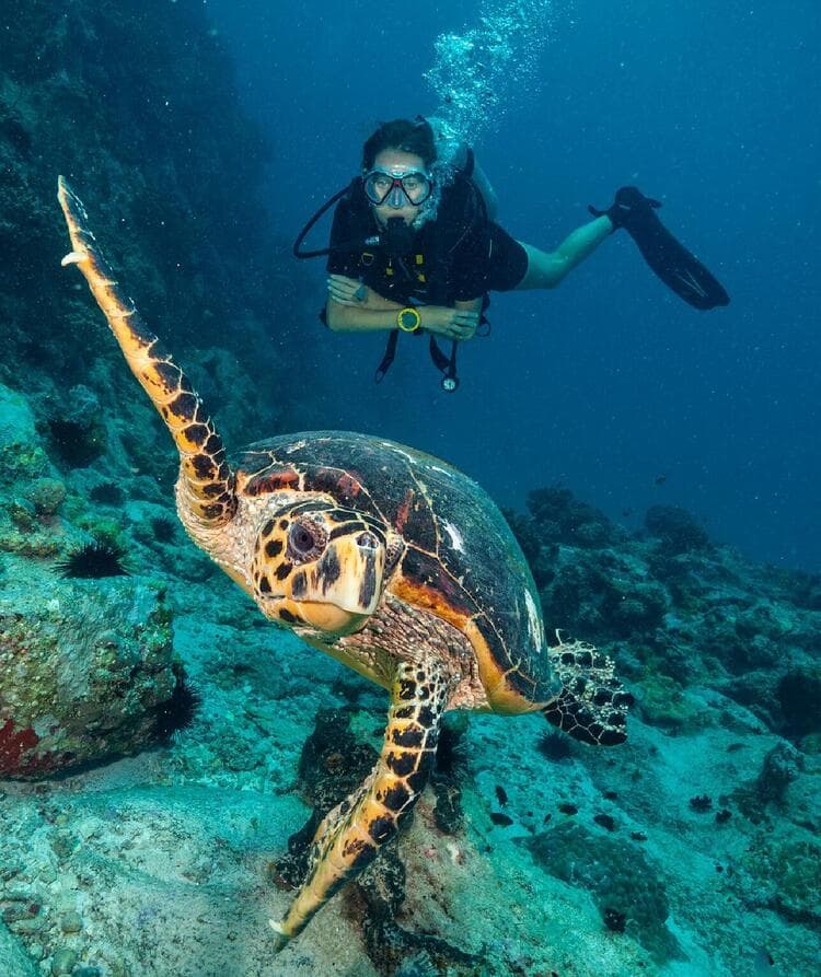 Akumal